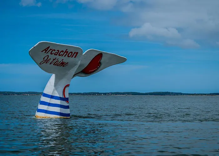 Bed & Breakfast La Curry Du Bassin La Teste-de-Buch